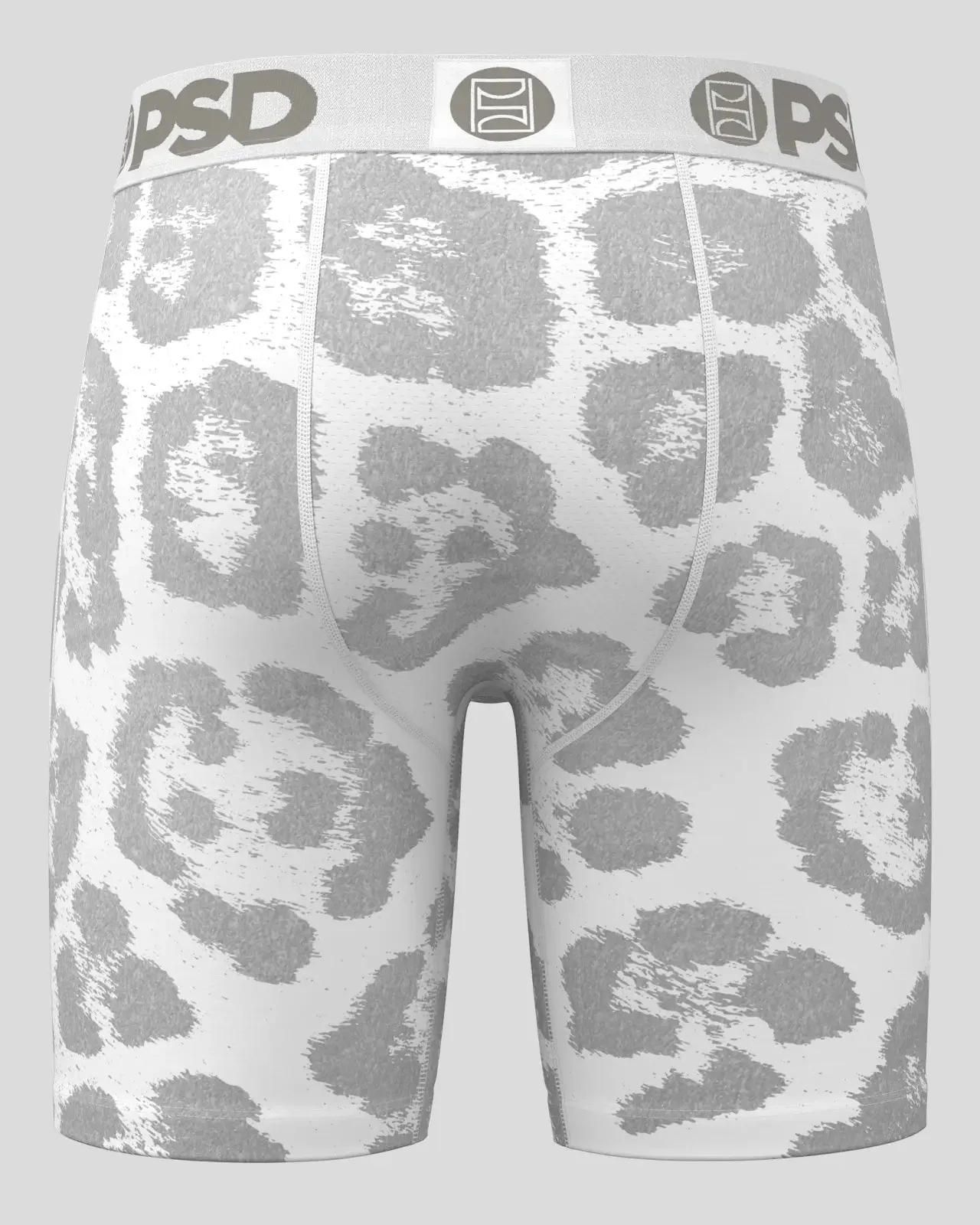 Snow Leopard - Image 4
